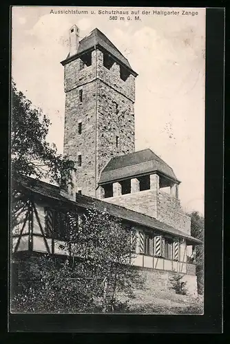 AK Hallgarten, Aussichtsturm und Schutzhaus auf der Hallgarter Zange