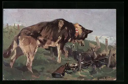 AK Sanitätshund entdeckt einen Verwundeten in einer Wolfsgrube