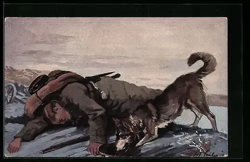 AK Sanitätshund beim Auffinden eines Verwundeten
