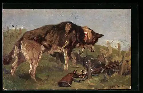 AK Sanitätshund neben einer Wolfsgrube mit einem Verwundeten