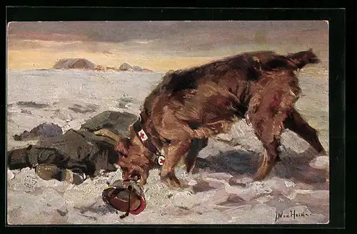 AK Sanitätshund und ein Verwundeter im Schnee