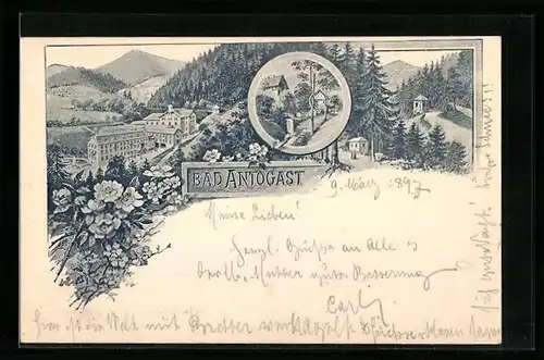 Lithographie Bad Antogast, Blick über den Ort, versch. Teilansichten