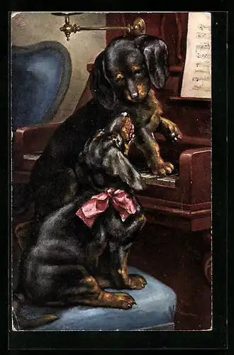 AK Dackel-Paar am Klavier