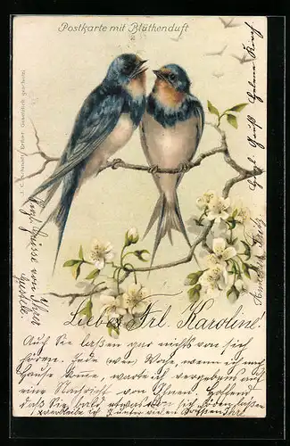 Duft-AK Schwalbenpaar auf einem Ast, mit Duft