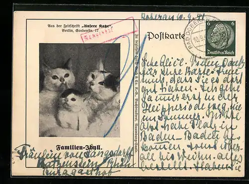 AK Familien-Idyll, Katzen, Zeitung Unsere Katze