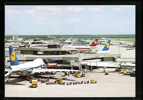 AK Frankfurt a. M., Rhein-Main-Flughafen, Flugzeug der Lufthansa am Terminal