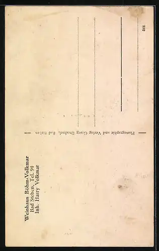 AK Bad Steben, Weinhaus Böhm-Volkmar, Inh.: Harry Volkmar