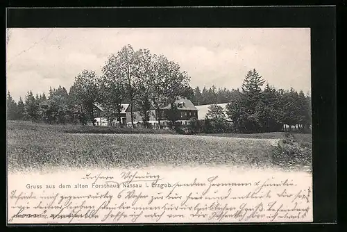 AK Nassau im Erzgeb., Blick zum alten Forsthaus