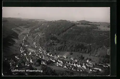 AK Wiesensteig, Totalansicht von einem Berg aus