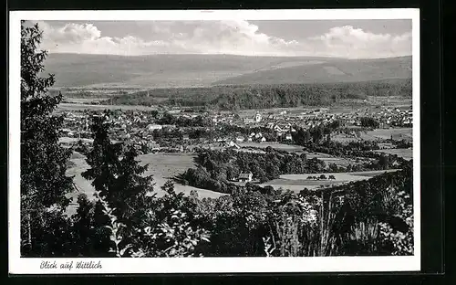 AK Wittlich, Totalansicht von einer Anhöhe aus