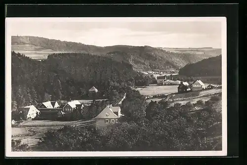 AK Daun /Eifel, Blick ins Liesertal mit Cafè Eifelperle, Kaufmanns-Erholungsheim und Dronkedenkmal