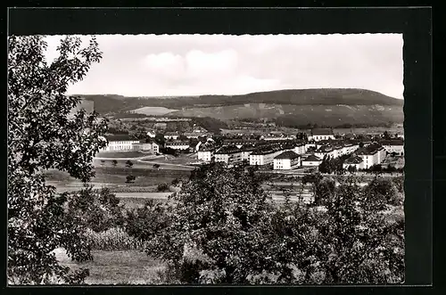 AK Wittlich /Mosel, Neue Siedlung