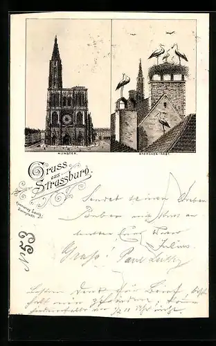 AK Strassburg, Stephanskirche, Bischöfliches Wappen