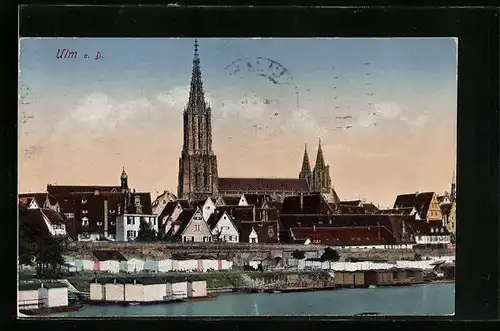 AK Ulm a. D., Uferpartie mit Münster