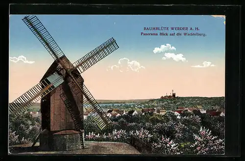 AK Werder a. H., Baumblüte, Panorama Blick auf die Wachtelburg mit Windmühle