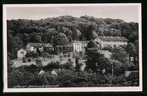 AK Seeheim a. d. Bergstrasse, Schloss