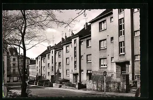 AK Schwelm, Drosselstrasse mit Baum