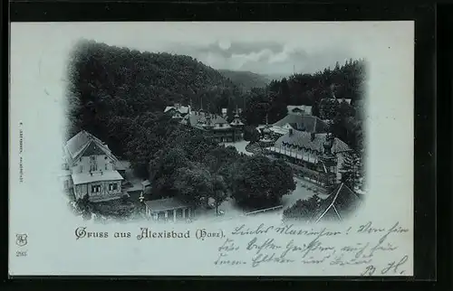 Mondschein-AK Alexisbad /Harz, Ortspartie