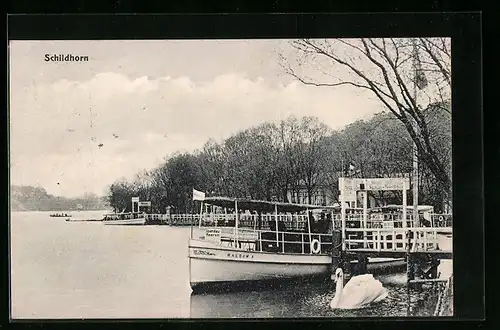 AK Berlin-Grunewald, Schildhorn, Uferpartie mit Boot Waldwo`s