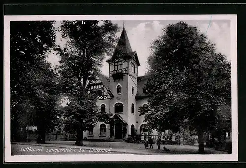 AK Langebrück i. Sa., Strassenpartie mit Lindenhof