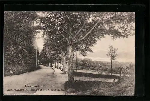 AK Freudenstadt, Lauterbadstrasse, Blick auf die Villenkolonie