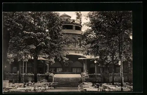 AK Berlin, Rote Terrasse im Zoo