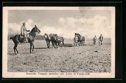 AK Deutsche Truppen bestellen den Acker in Frankreich