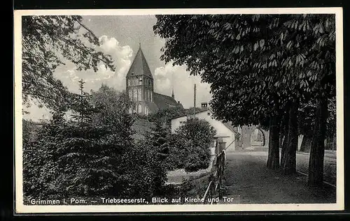 AK Grimmen i. Pom., Triebsee mit Blick auf Kirche und Tor