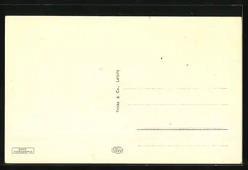 AK Hartha i. Sa., Markt mit Geschäften