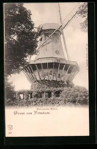 AK Potsdam, Gruss aus der Stadt, Historische Mühle