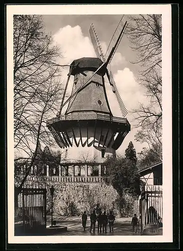 AK Potsdam-Sanssouci, Besucher vor der Historischen Mühle