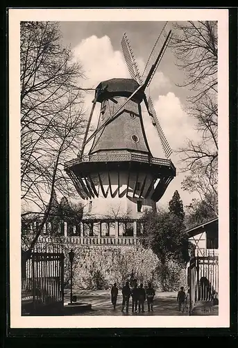 AK Potsdam-Sanssouci, Besucher vor der Historischen Mühle