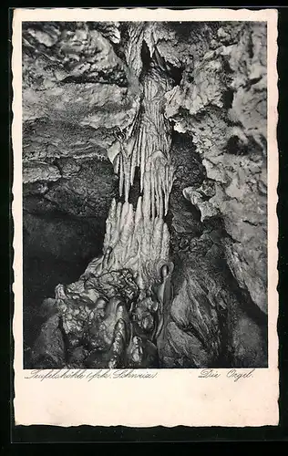 AK Teufelshöhle /Frk. Schweiz, Die Orgel