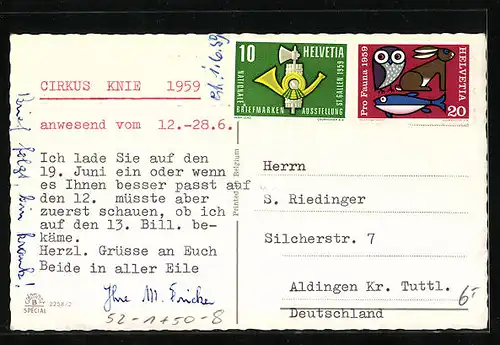 Künstler-AK Katzen-Akrobaten auf dem Rummel