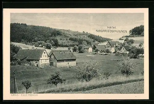 AK Gras-Ellenbach, Ortsansicht mit Hotel Siegfriedbrunnen