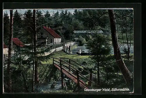 AK Leopoldstal, Silbermühle im Teutoburger Wald