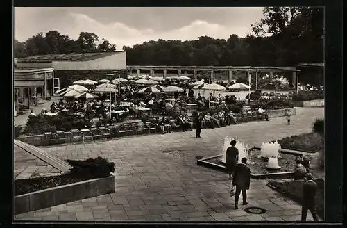 AK Berlin, Cafeteria im Tierpark