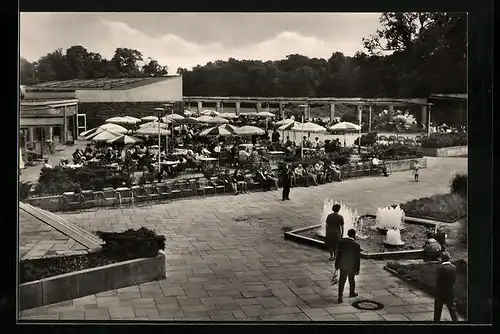 AK Berlin, Cafeteria im Tierpark