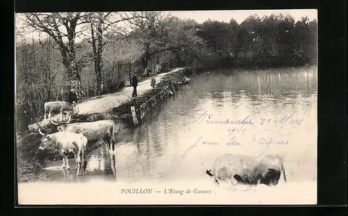 AK Pouillon, L`Etang de Garanx