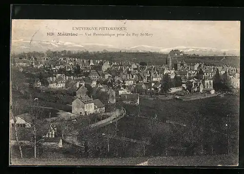 AK Mauriac, Vue Panoramique prise du Puy St. Mary