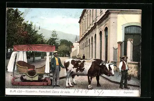 AK Madeira, Funchal, Carro de bois