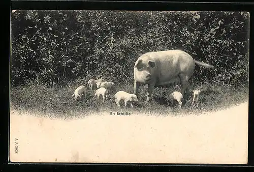 AK En famille, Sau mit Ferkeln