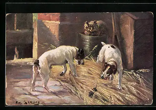 AK Zwei Hunde auf Mäusejagd im Stall