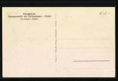 AK Kellinghusen /Holst., Springreiter auf einem früheren Patienten der Pferdeklinik