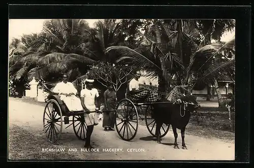 AK Ceylon, Rikscha neben Ochsen-Gespann auf einer Strasse