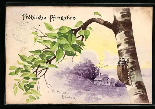 AK Maikäfer am Stamm einer Birke, Pfingstgruss