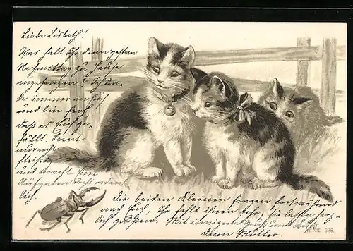 Lithographie Drei kleine Katzen und ein Hirschkäfer