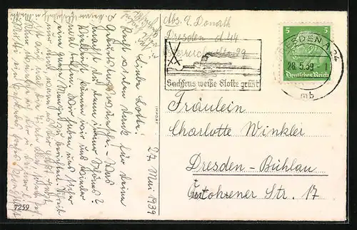 AK Maikäfer krabbeln auf einer Birke, Pfingstgruss