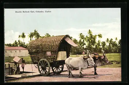 AK Colombo, Ceylon, Double Bullock Cart