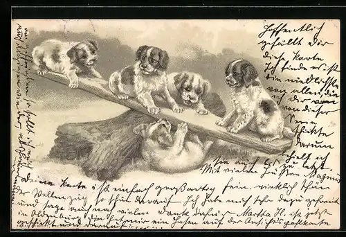 Präge-Lithographie Hundewelpen auf einer Wippe